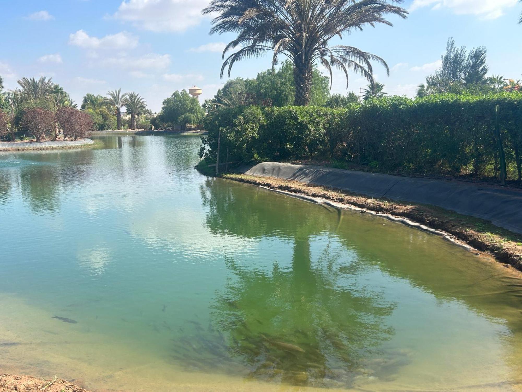 טרודאנט Villa Louisa Piscine Privee Sans Vis A Vis Dyar Shemsi מראה חיצוני תמונה
